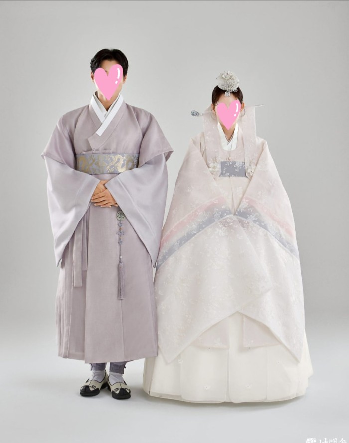시술정보